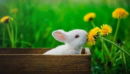 kaiyun在云端：让繁忙生活重获清晰与自由